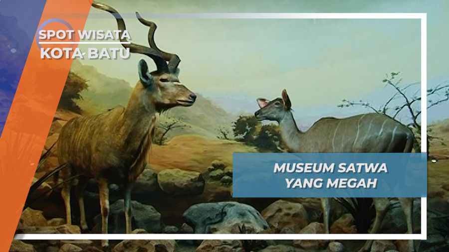 Museum Satwa Kota Batu  Jawa Timur nan Megah dan Terbesar