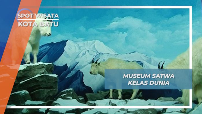 Museum Satwa Kelas Dunia di Kota Batu 