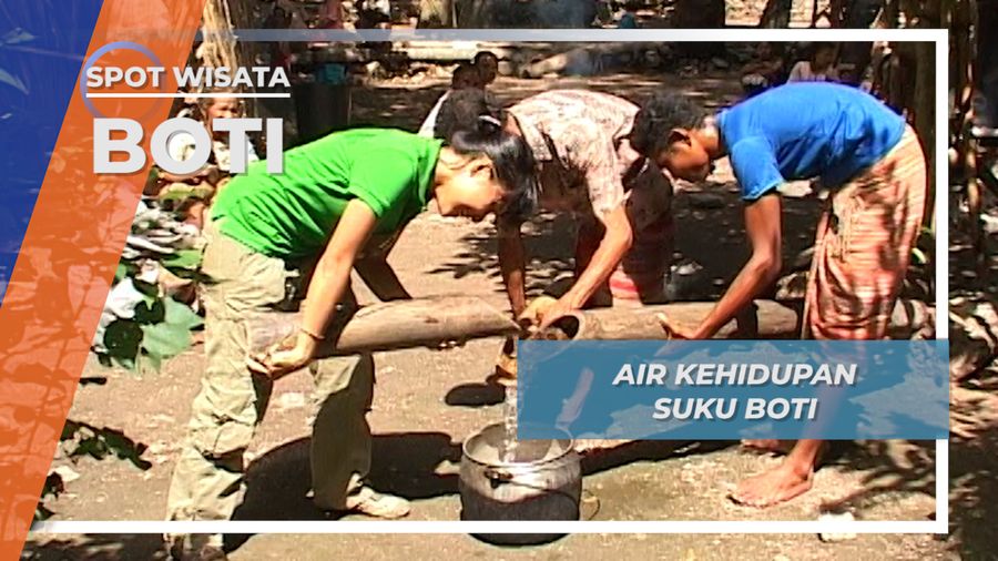 Cari Air dam Membawanya Dalam Batang Bambu, Kehidupan Suku Boti Pulau Timor 