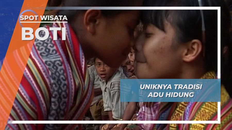 Tradisi Adu Hidung Suku Boti Pulau Timor
