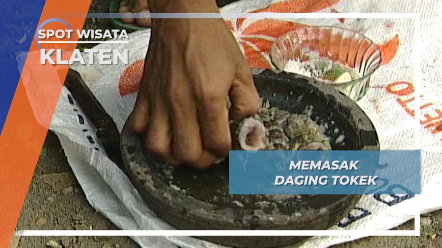 Daging Tokek Goreng Kebon Dalem Lor Klaten Jawa Tengah