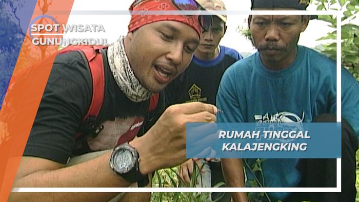 Area Lembab di Perbukitan, Tempat Favorit Kalajengking, Gunung Kidul