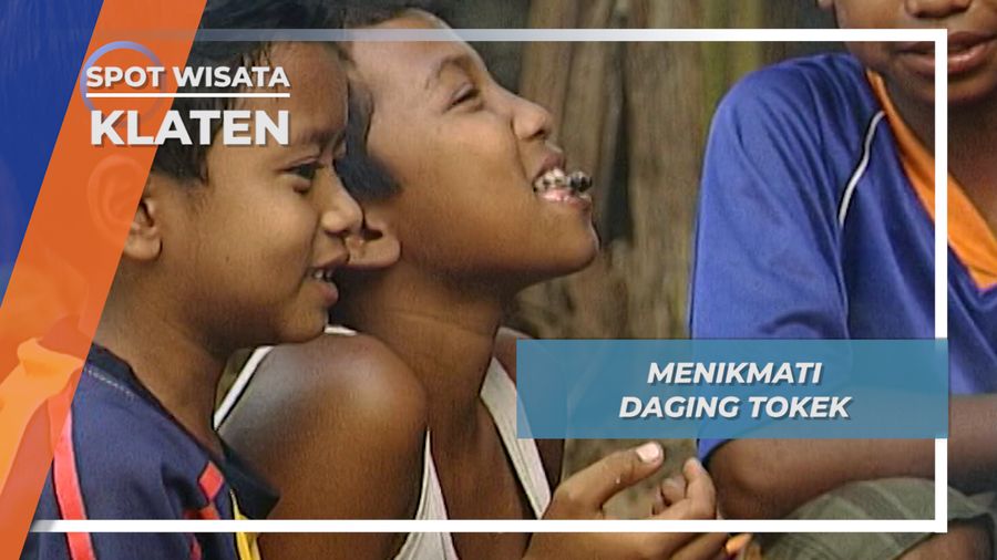 Olahan Daging Tokek, Kuliner Ekstrim yang Berkhasiat, Klaten