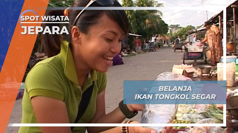 Belanja Ikan Tongkol Segar, Oleh Oleh Untuk Ikan Hiu Jepara