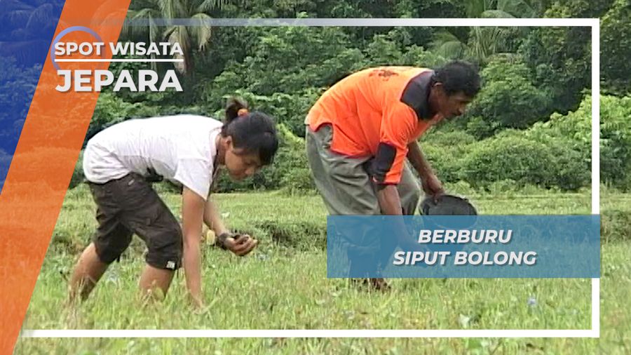 Adu Cepat Dengan Bebek, Berburu Siput Bolong, Legon Lele, Jepara