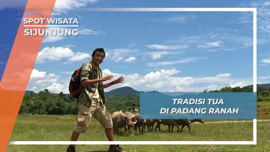 Merancah Tradisi Tua yang Masih Bertahan, Sijunjung