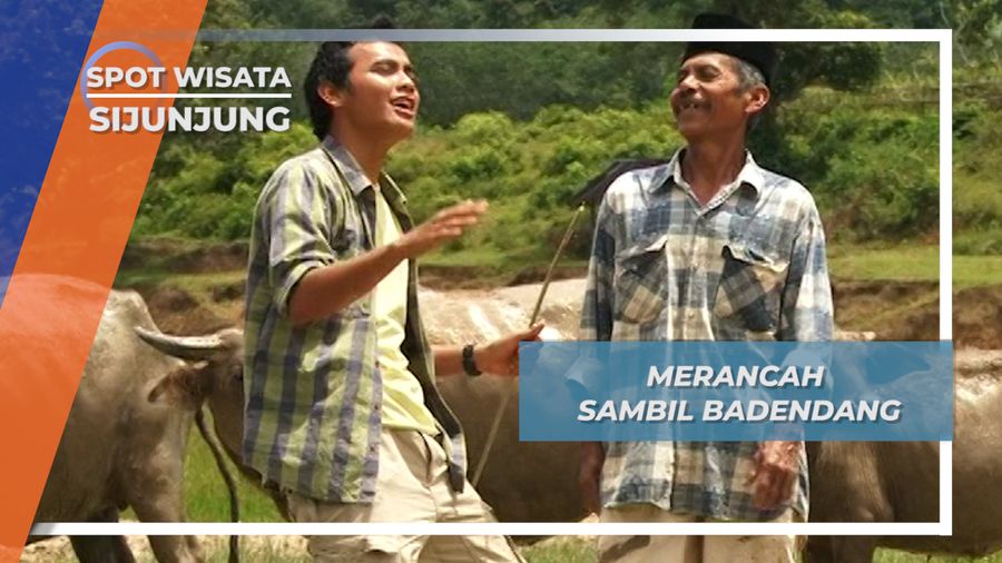 Merancah Sambil Badendang, Kebiasaan Unik Masyarakat Sijunjung