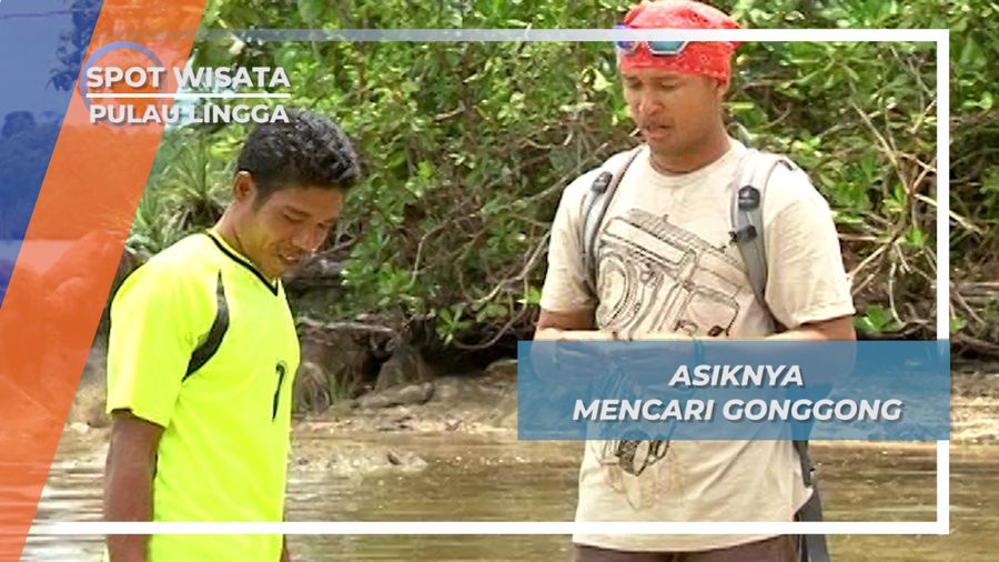 Gonggong, Sejenis Kerang yang Dicari Masyarakat Pulau Lingga saat Laut Surut