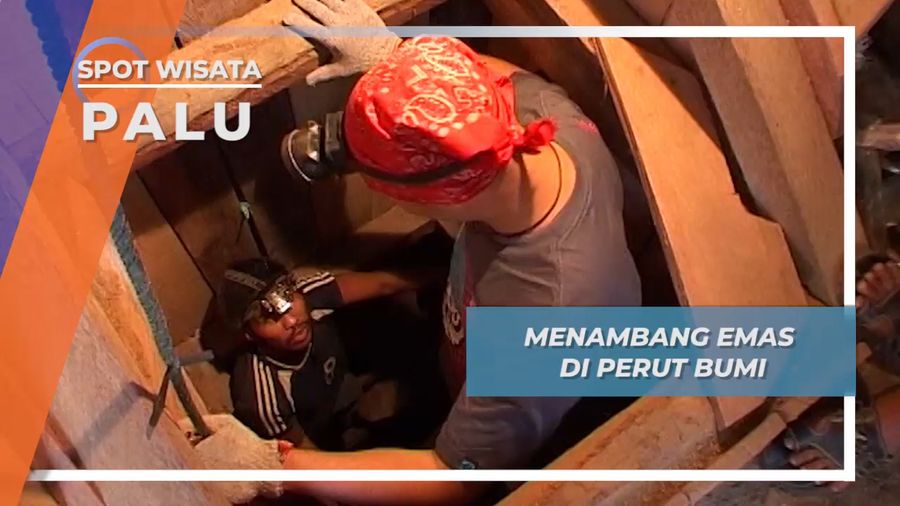 Menambang Emas di Perut Bumi, Palu