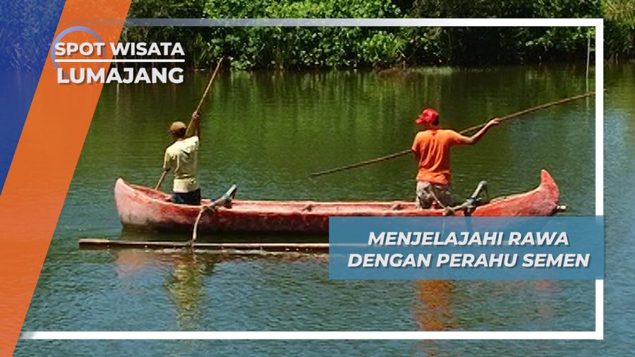 Menjelajahi Rawa Desa Tlepuk dengan Perahu Semen, Lumajang