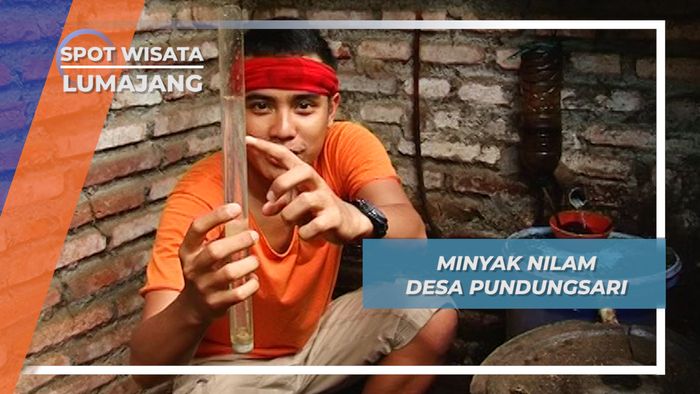 Nilam, Mata Pencaharian Utama Warga Desa Pundungsari, Lumajang