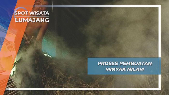 Menengok Proses Pembuatan Minyak Nilam di Desa Pundungsari, Lumajang