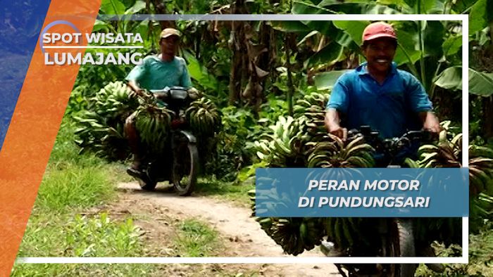 Peran Penting Motor Bagi Masyarakat Desa Pundungsari, Lumajang
