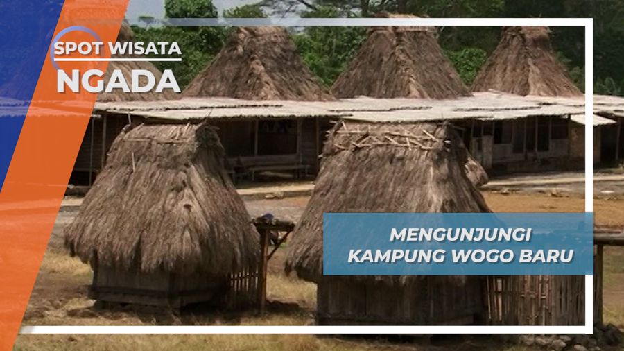 Kampung Wogo Baru, Kampung yang Kaya akan Budaya dan Tradisi Leluhur, Ngada, Flores