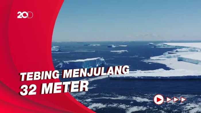 Bongkahan Gunung Es Raksasa Ancam Populasi Jutaan Hewan