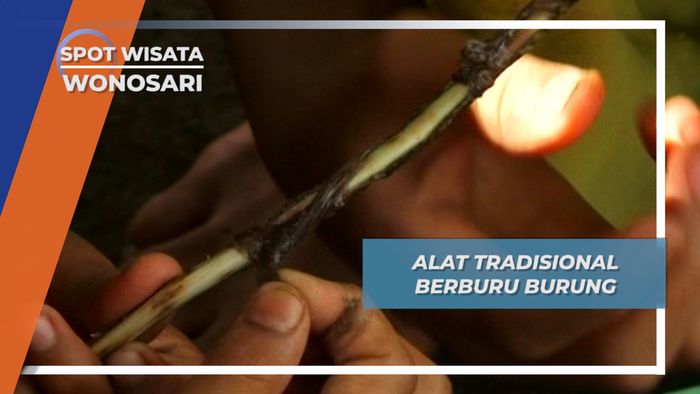 Bermodal Ulut, Anak-anak ini Bisa Mendapat Burung Kicau, Wonosari