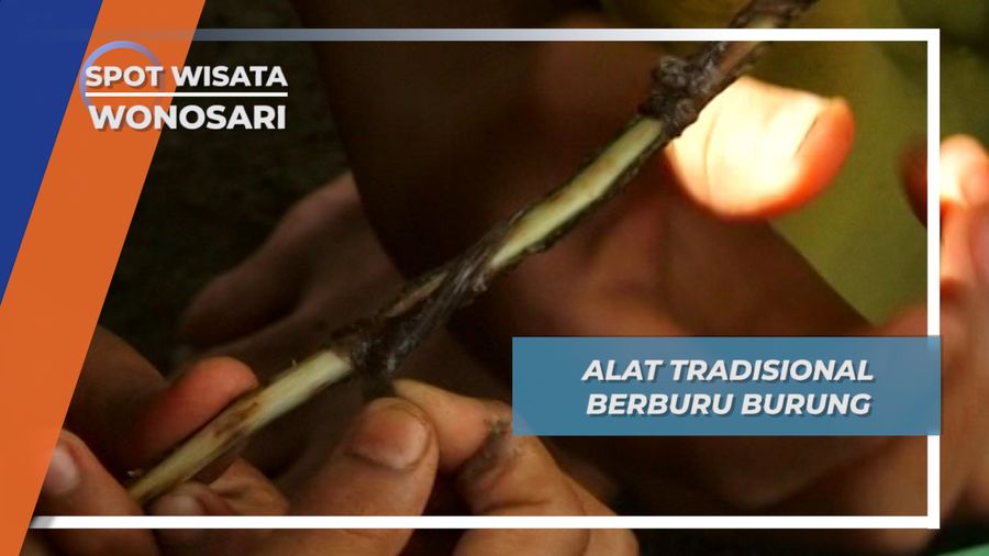 Bermodal Ulut, Anak-anak ini Bisa Mendapat Burung Kicau, Wonosari