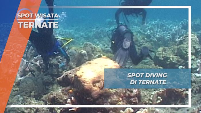 Menengok Pesona Spot Diving di Ternate, Maluku Utara