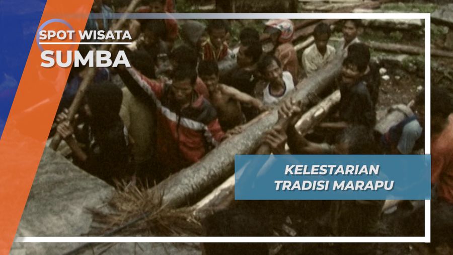 Upacara Kematian, Simbol Keagungan dan Kebangggan Masyarakat Sumba