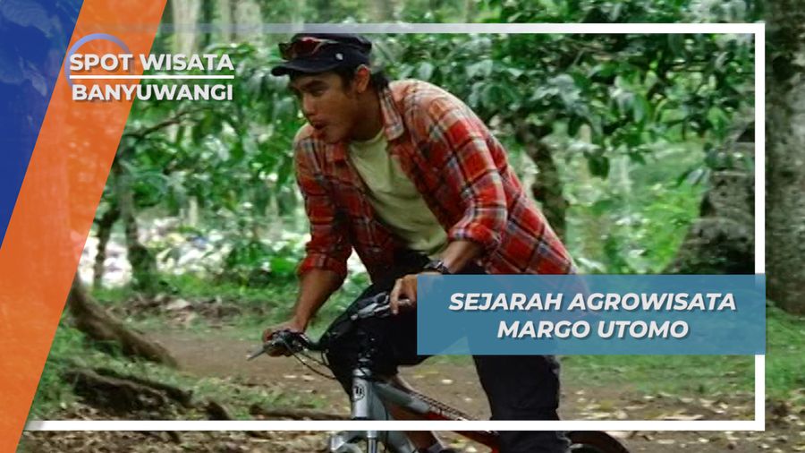 Perkebunan Margo Utomo, Perintis Agrowisata di Indonesia, Kalibaru, Banyuwangi