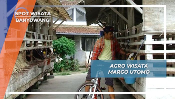 Margo Utomo, Taman Agrowisata yang Berkembang Pesat, Banyuwangi