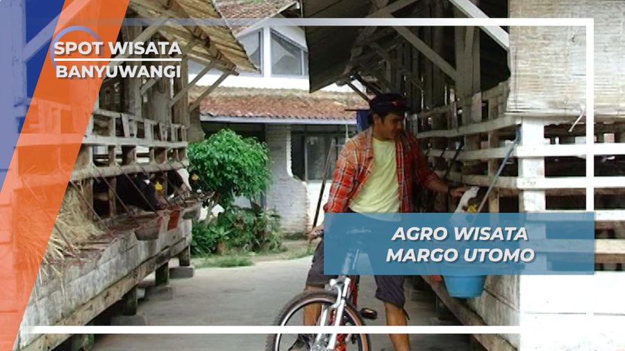 Margo Utomo, Taman Agrowisata yang Berkembang Pesat, Banyuwangi