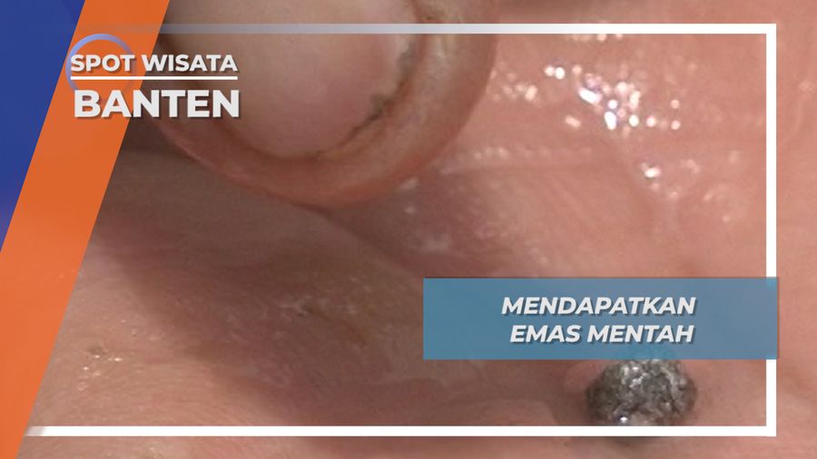 Menggunakan Kain Parasut, Partikel Emas Dipisahkan Dengan Air Raksa, Banten