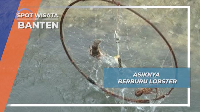 Berburu Lobster Menggunakan Jodang, Bayah, Lebak, Banten