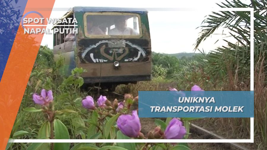 Molek, Motor Lori Ekspress ala Napal Putih ke Lebong Tandai Bengkulu Utara