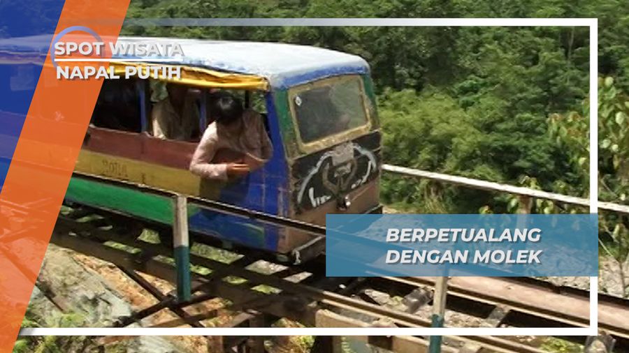 Berpetualang Menyusuri Wilayah Napal Putih Bengkulu Utara dengan Molek