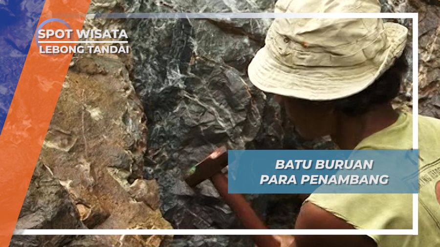 Batuan yang Mengandung Mineral Pirit, Buruan Para Penambang Lebong Tandai Bengkulu Utara
