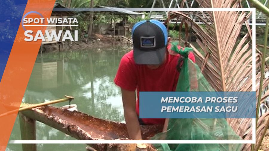 Memeras Daging Sagu Sambil Bagoyang ala Desa Sawai Pulau Seram 