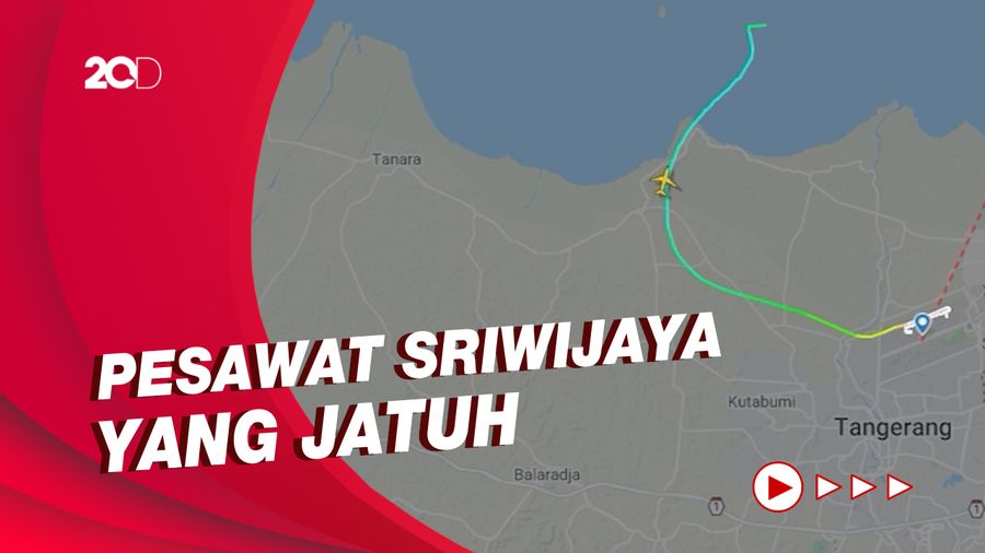Ini Spesifikasi Pesawat Boeing B737-500 Milik Sriwijaya Air