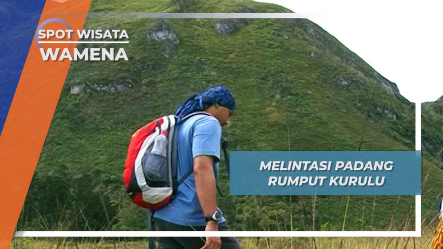 Melintasi Padang Rumput Kurulu Wamena, Dipandu Anak Berikat Kepala Bulu Ayam