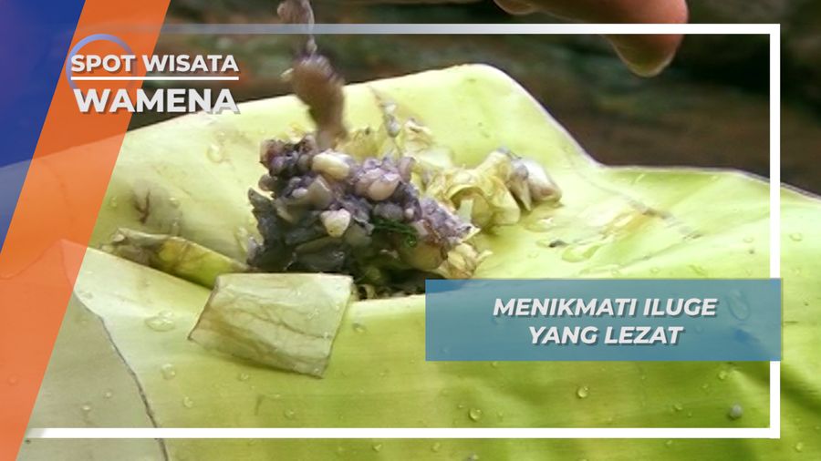 Iluge, Kuliner Olahan Tunas Pisang Khas Wamena Papua