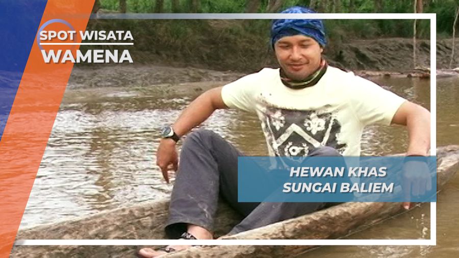 Udang Selingkuh Hanya Ada di Sungai Baliem Wamena