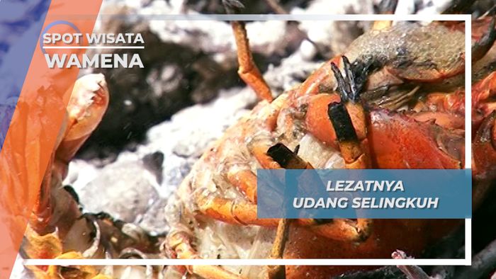 Udang Selingkuh, Si Nikmat Pemberi Gizi dan Gurih terbaik Untuk Anak Anak Wamena