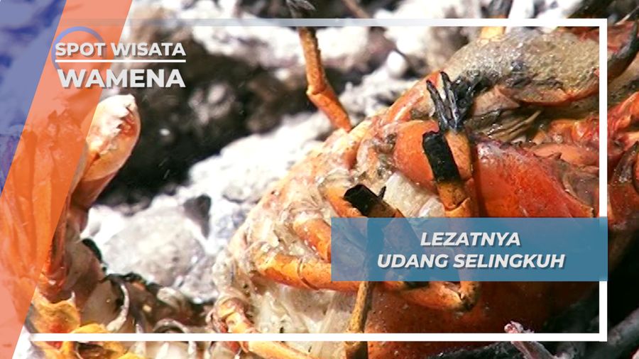 Udang Selingkuh, Si Nikmat Pemberi Gizi dan Gurih terbaik Untuk Anak Anak Wamena