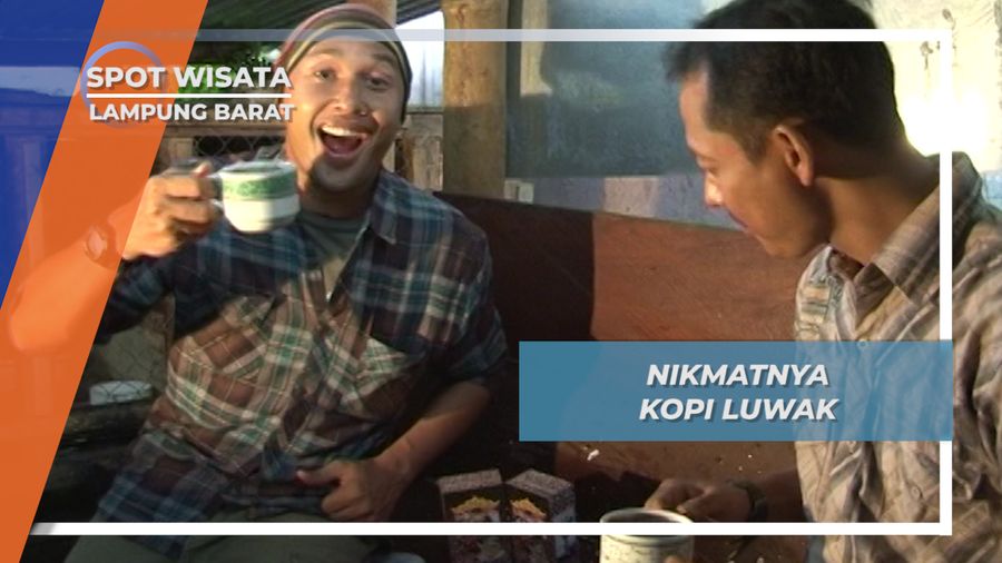 Aroma Khas dan Rendah Kafein, Cita Rasa Kopi Termahal di Dunia, Lampung Barat