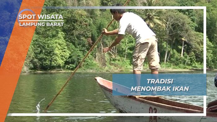 Ngekhaas, Tradisi Menombak Ikan Warisan Leluhur, Danau Ranau Lampung Barat