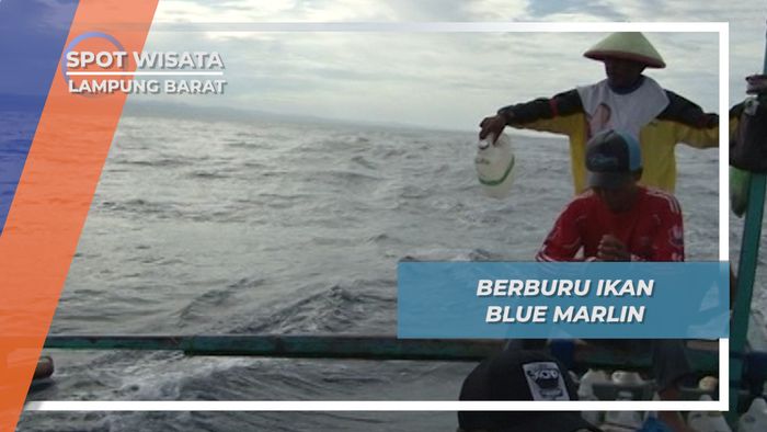 Mengejar Marlin, Melempar Umpan di Lampung Barat Samudra Hindia