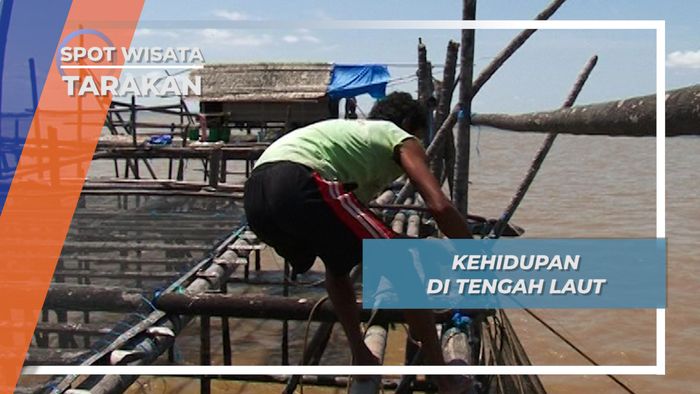 Bikin Takjub, Kehidupan di Tengah Laut Lepas Suku Bugis, Tarakan