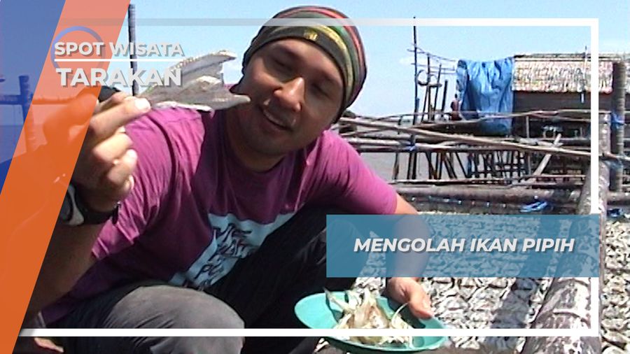 Dijemur, Cara Sederhana Mengolah Ikan Pipih Tarakan Kalimantan Timur