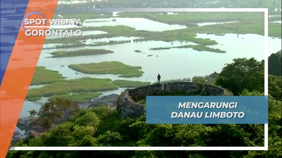 Danau Limboto, Ikon Gorontalo Seluas 7000 Hektar 