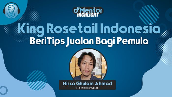 Tips Jualan Ikan Cupang Bagi Pemula