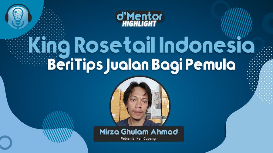 Tips Jualan Ikan Cupang Bagi Pemula