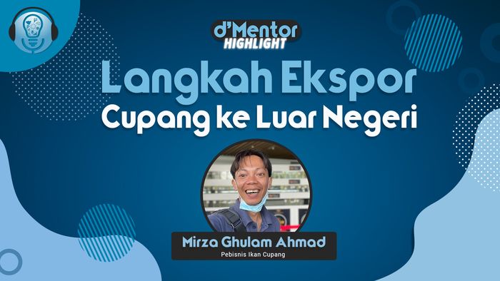 Langkah Ekspor Ikan Cupang Ala King Rosetail Indonesia