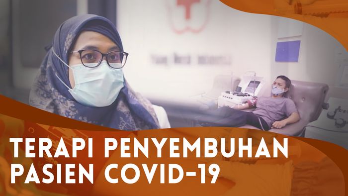 PMI Butuh Donor Plasma Konvalesen, Ini Syaratnya  