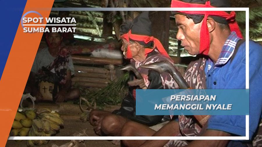 Beginilah Persiapan Menyambut Tradisi Nyale, Sumba Barat