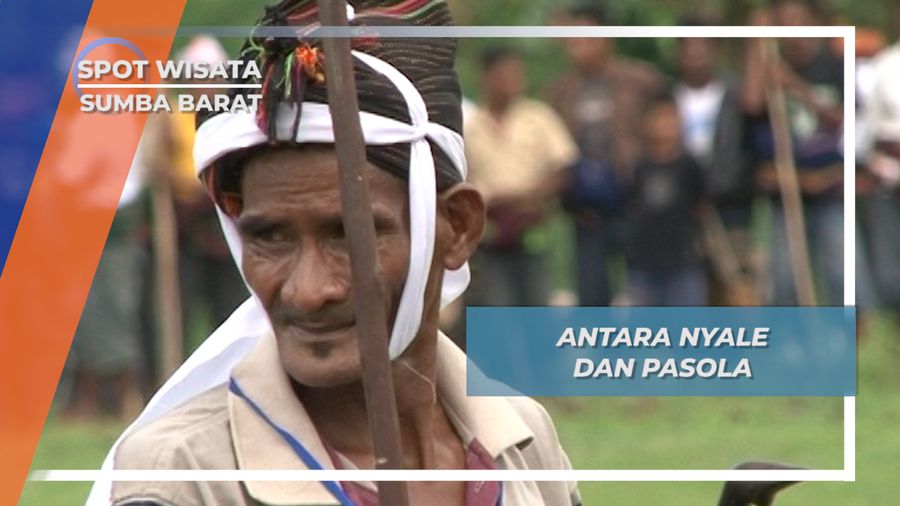 Ritual Nyale, Puncak dari Kegiatan di Mulainya Tradisi Pasola, Sumba Barat 